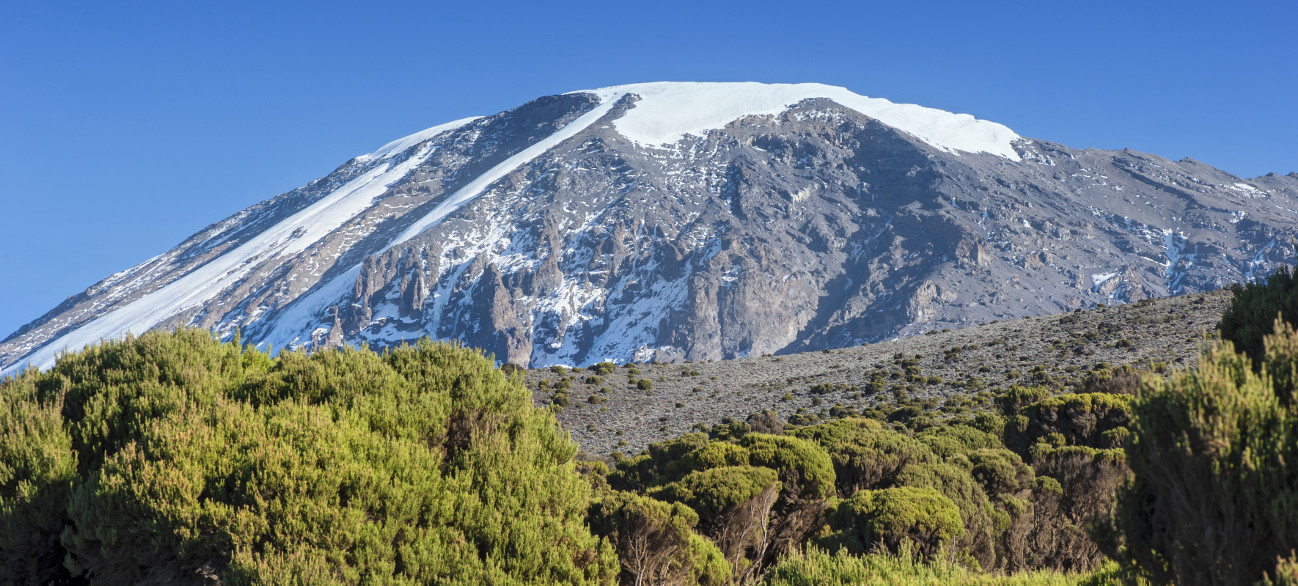kilimanjaro
