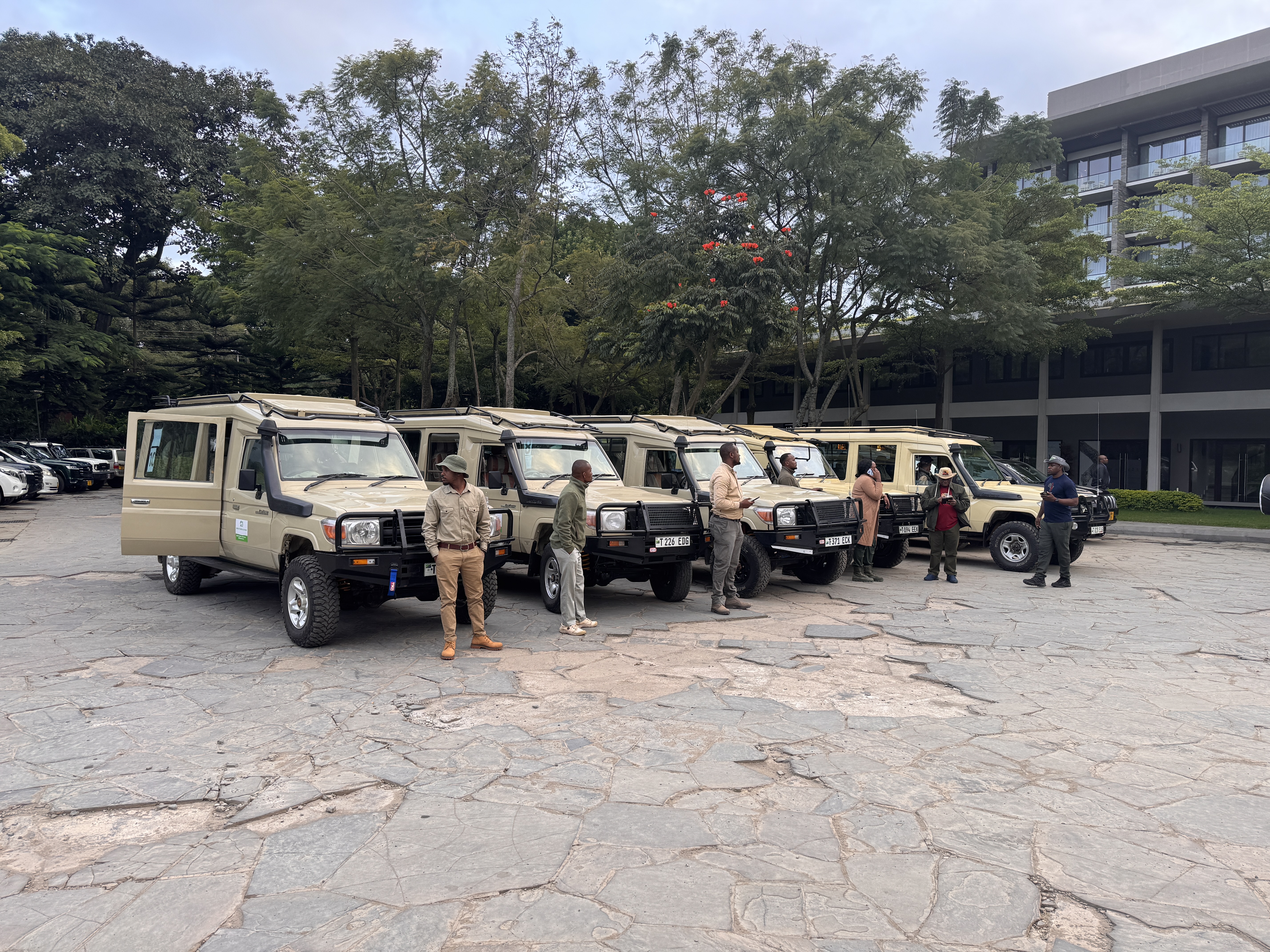 Wildlife Safari Adventure