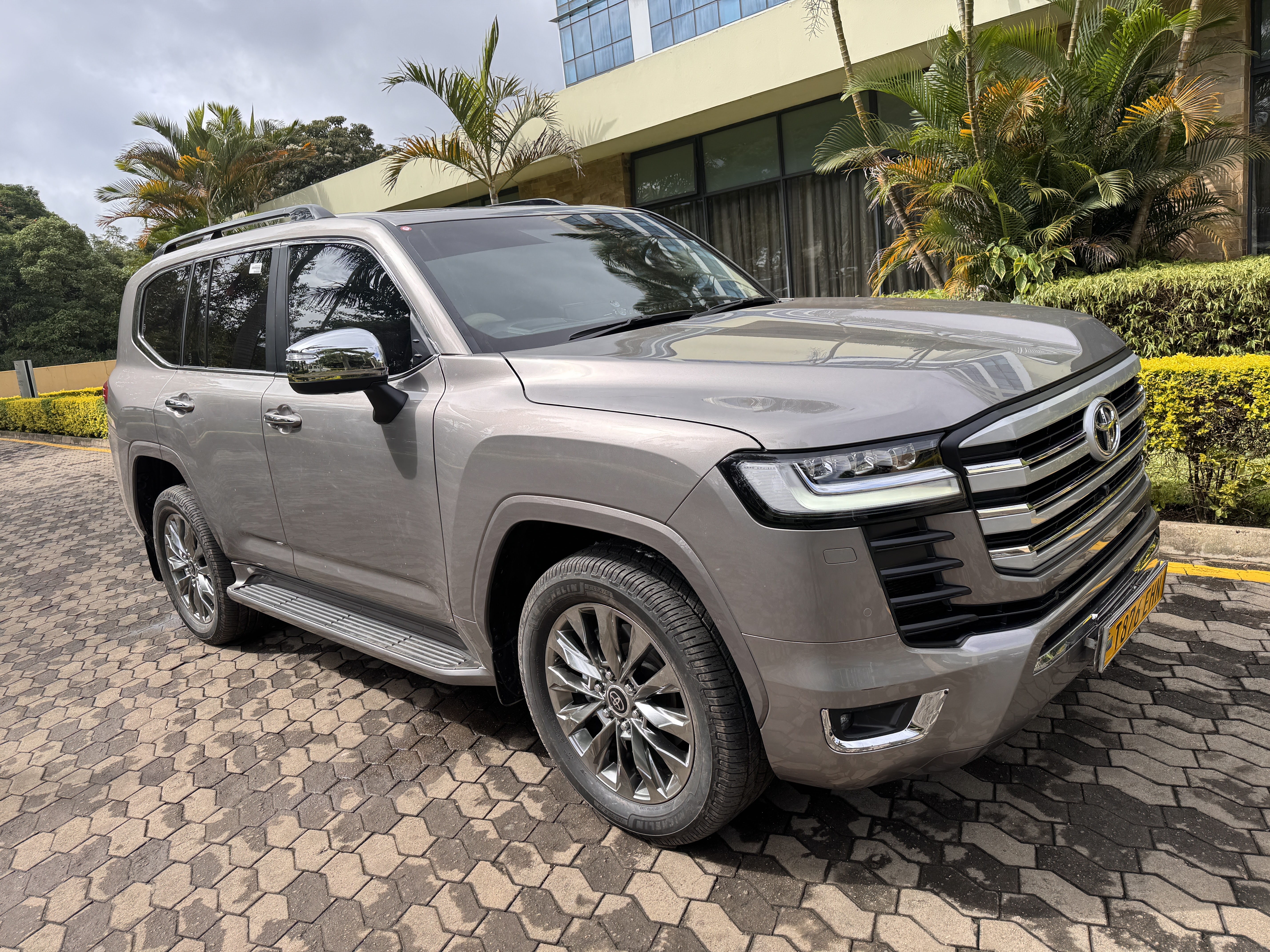 Wildlife Safari Adventure