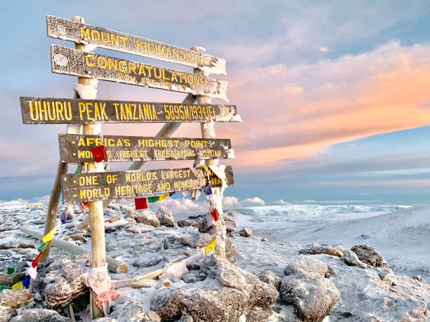 Kilimanjaro Trekking Expedition